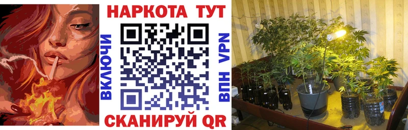 Что такое Грайворон COCAIN  Alpha PVP  LSD-25  Меф мяу мяу 