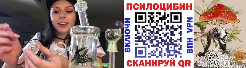 закладка Грайворон Псилоцибиновые грибы GOLDEN TEACHER